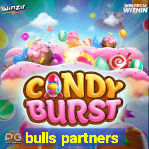 bulls partners